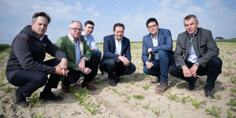 Foto Lokalaugenschein Rübe.jpg Foto Lokalaugenschein Rübe.jpg