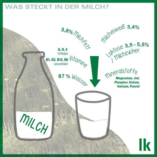 Factsheet Milchinhaltsstoffe_web.jpg © Marlene Weitzenböck/LK Niederösterreich Factsheet Milchinhaltsstoffe_web.jpg © Marlene Weitzenböck/LK Niederösterreich