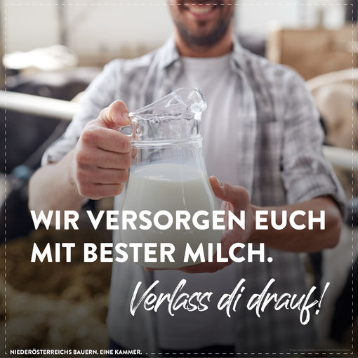 sharebilder Milch.jpg