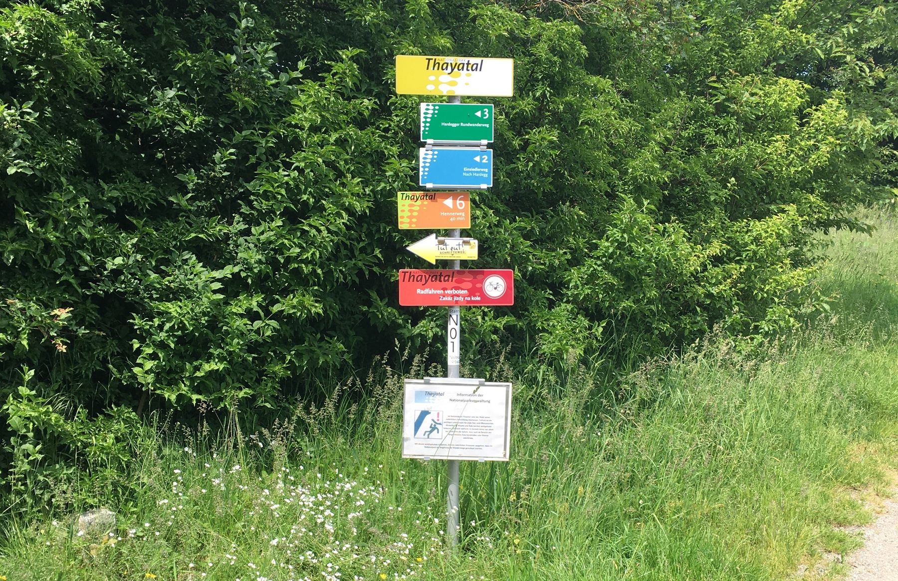 © Andrea Uhl © Andrea Uhl