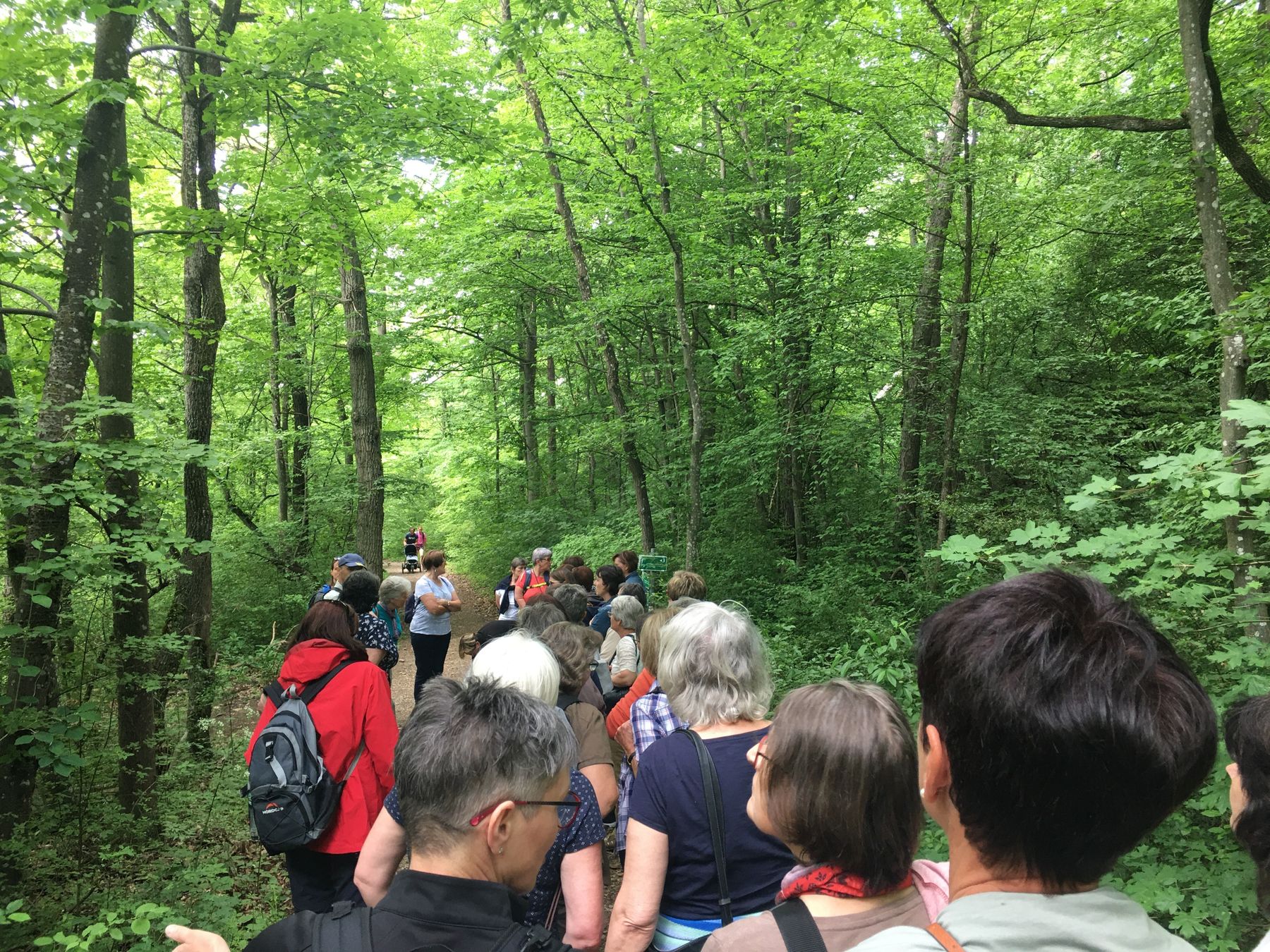 © Andrea Uhl © Andrea Uhl