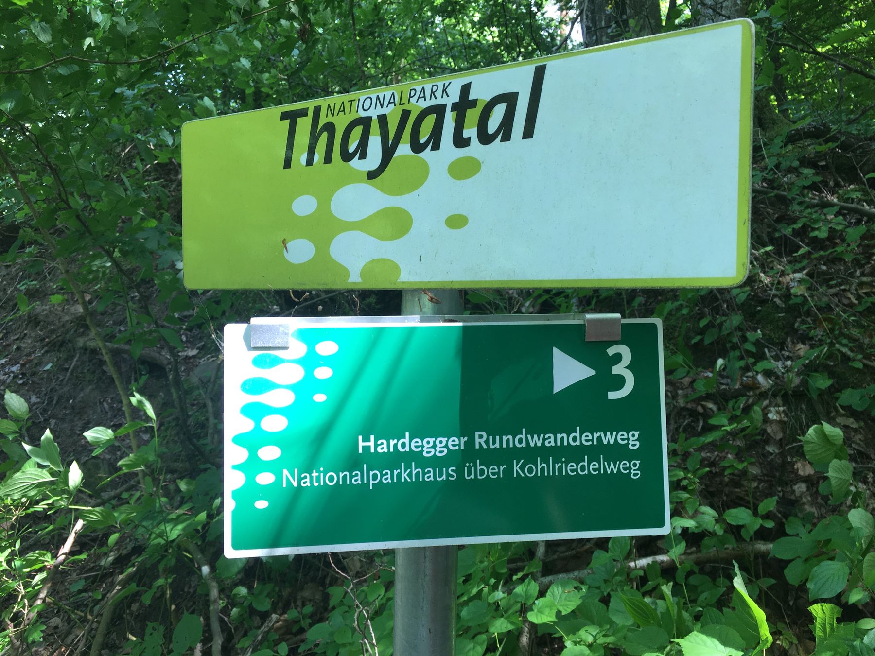 © Andrea Uhl © Andrea Uhl