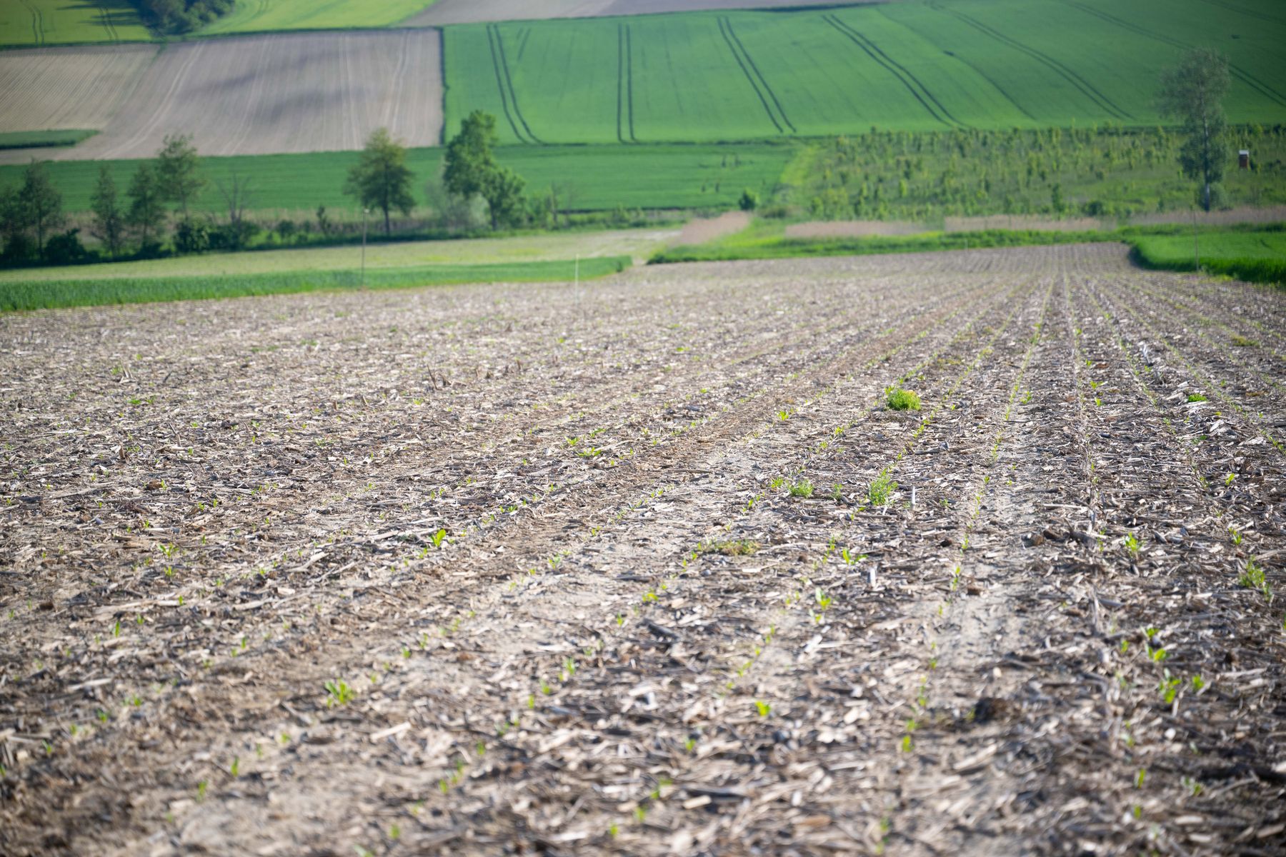 © BML/Hemerka © BML/Hemerka