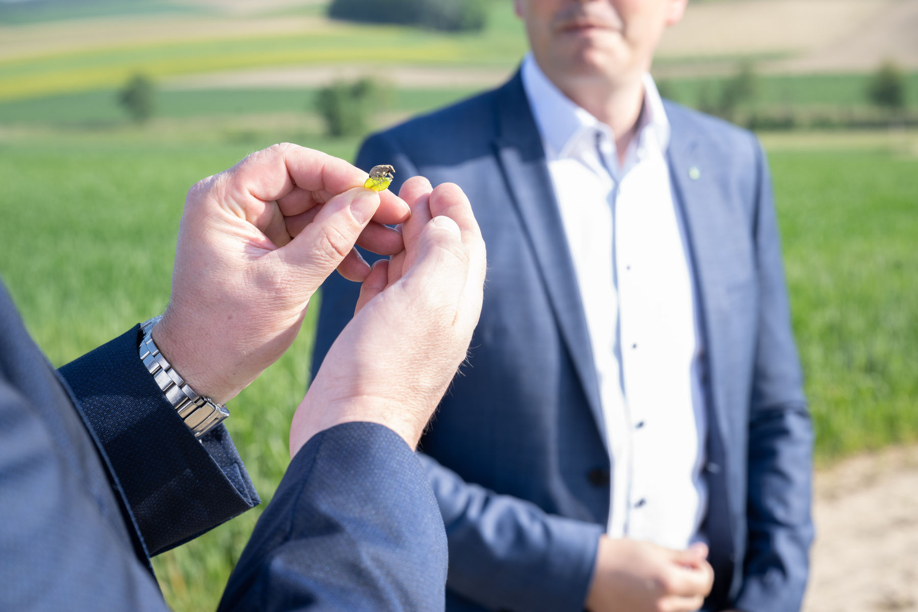 © BML/Hemerka © BML/Hemerka