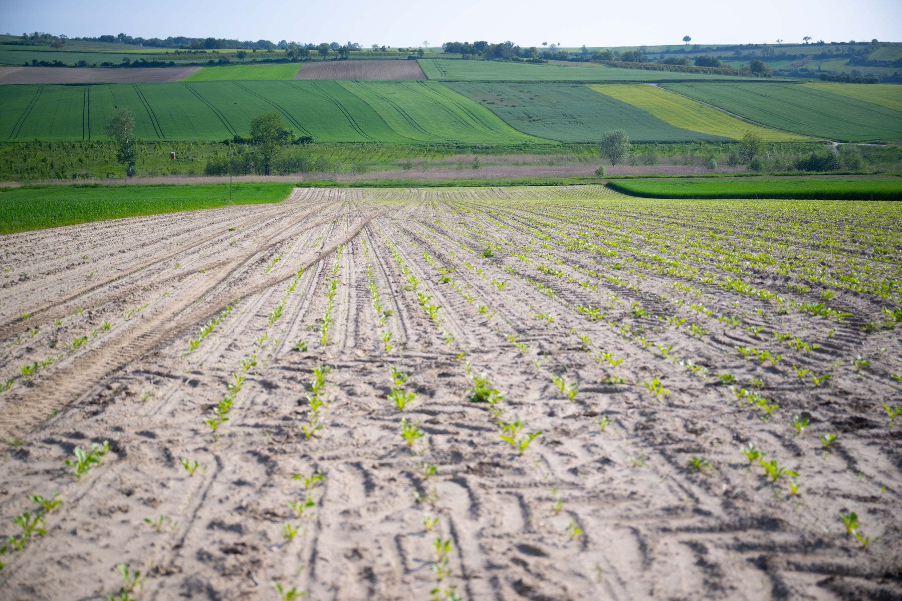 © BML/Hemerka © BML/Hemerka