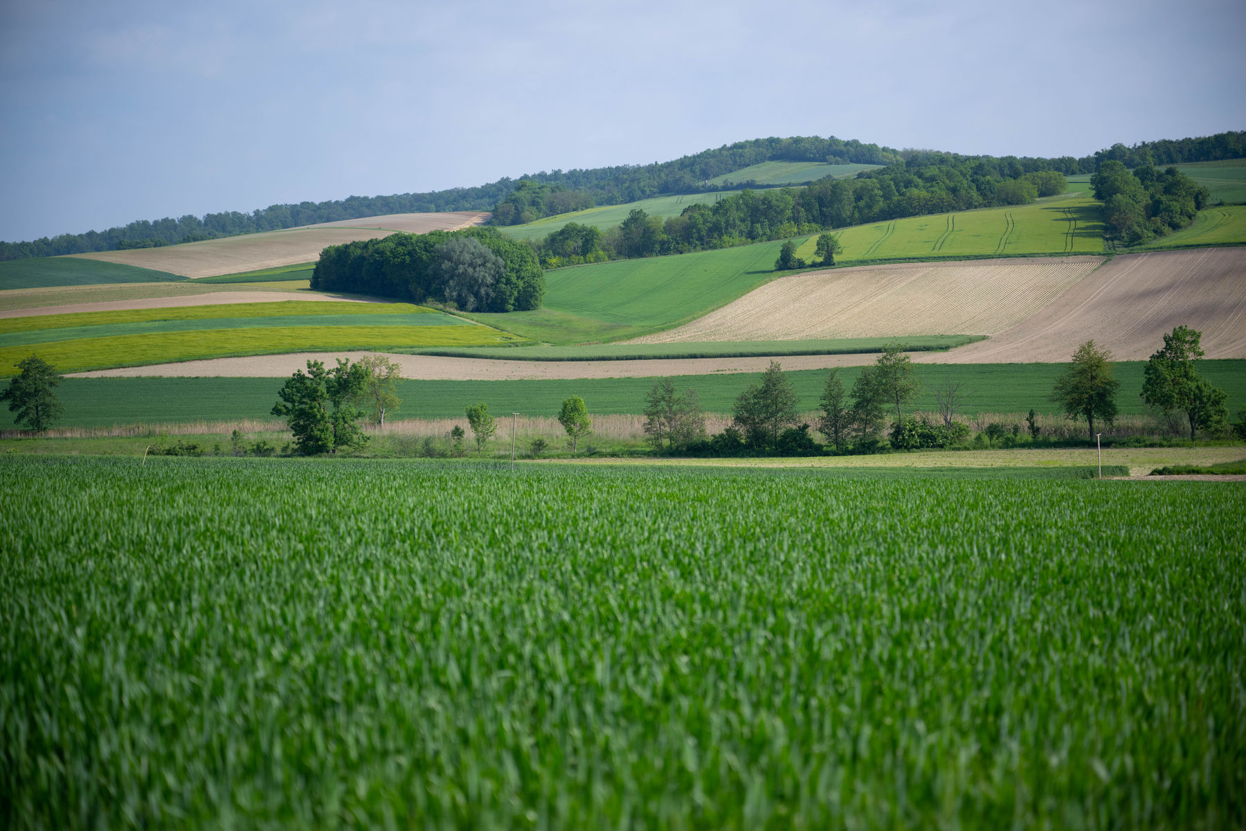 © BML/Hemerka © BML/Hemerka