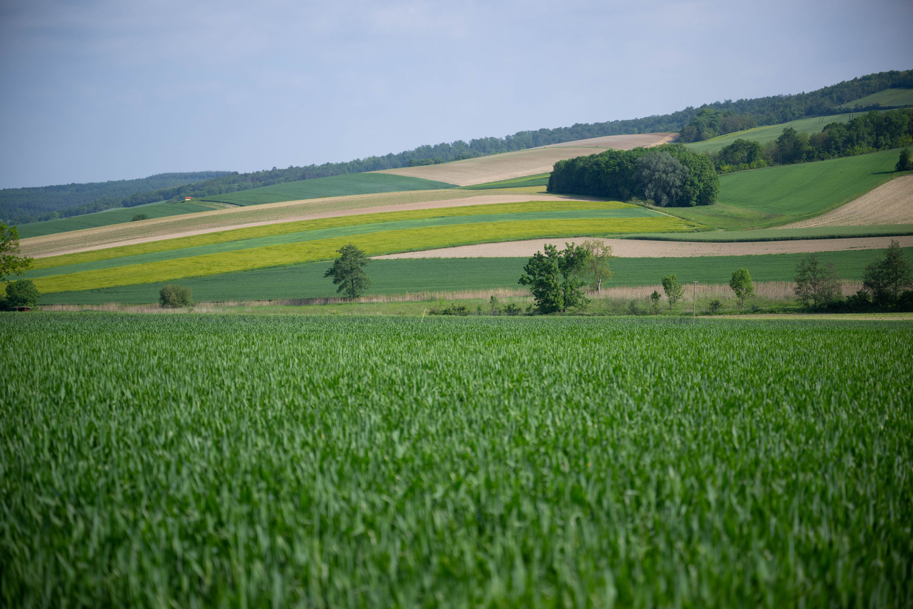 © BML/Hemerka © BML/Hemerka