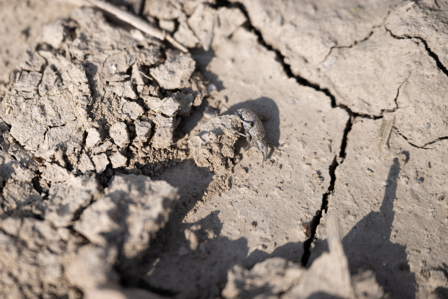 © BML/Hemerka © BML/Hemerka