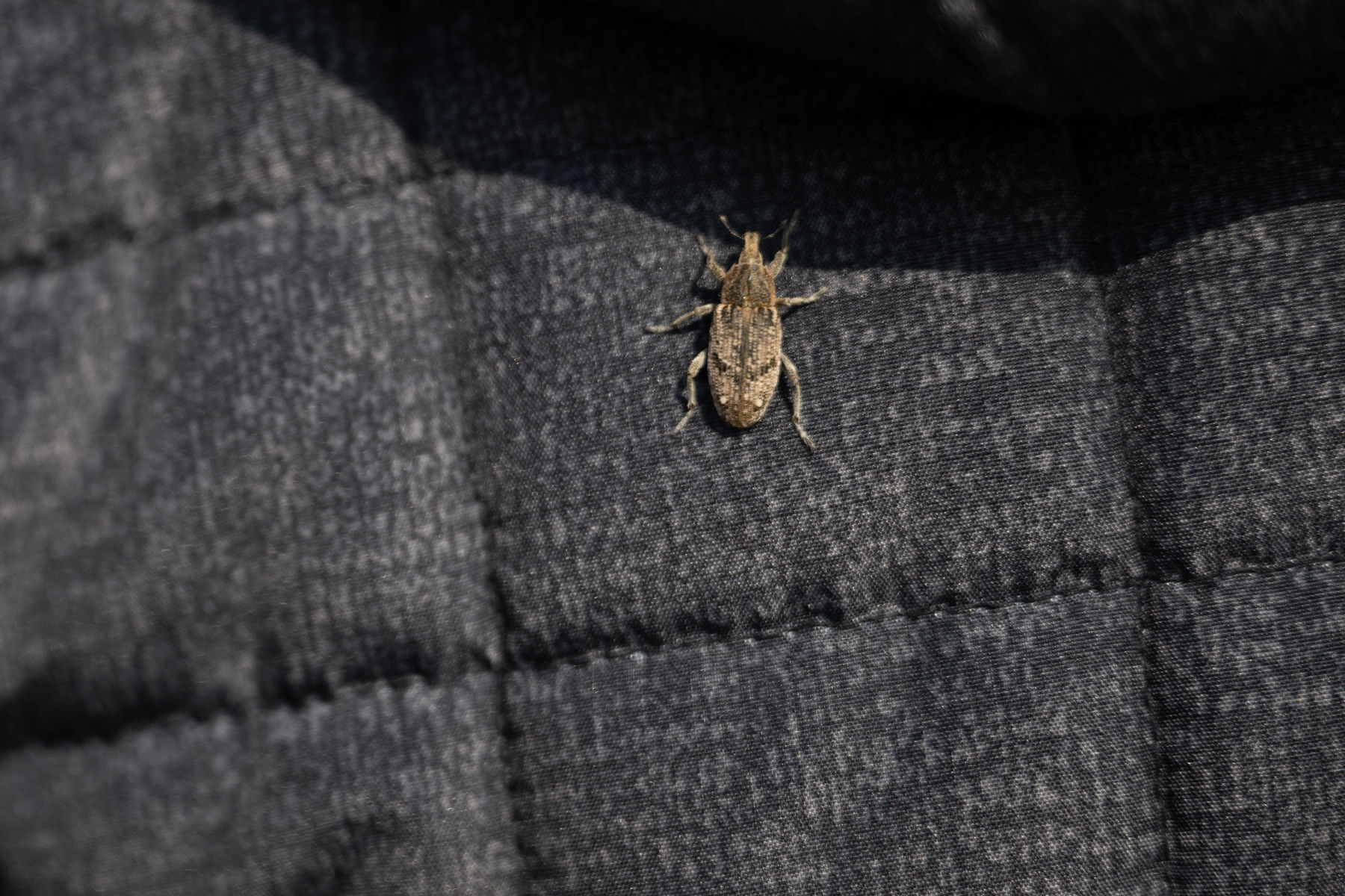 © BML/Hemerka © BML/Hemerka