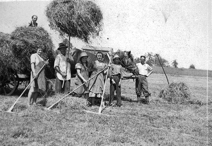Anthering.jpg © Archiv Anthering.jpg © Archiv