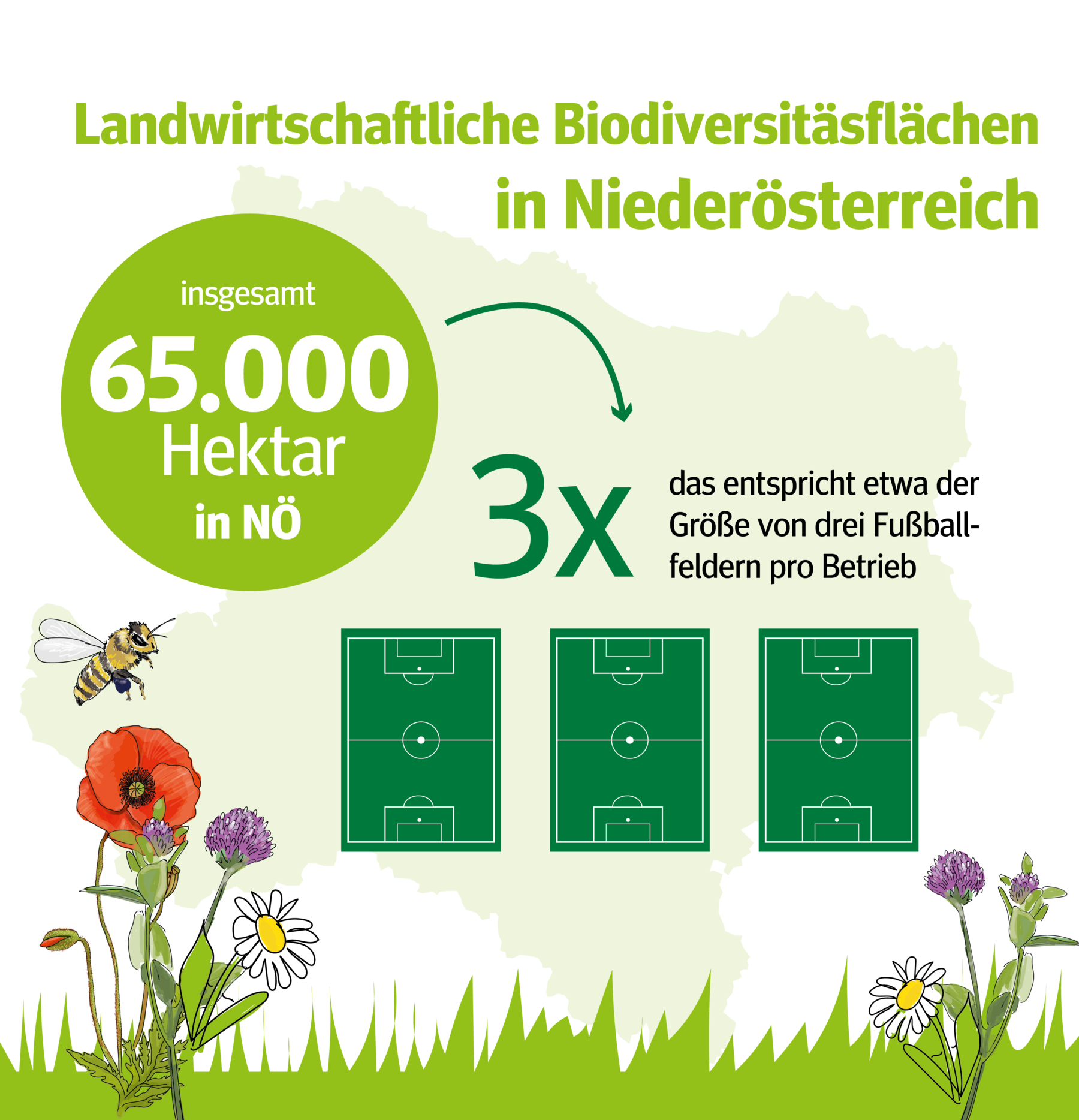 Grafik des Monats Juni_Zeichenfläche 1 Kopie.png © LK Niederösterreich Grafik des Monats Juni_Zeichenfläche 1 Kopie.png © LK Niederösterreich