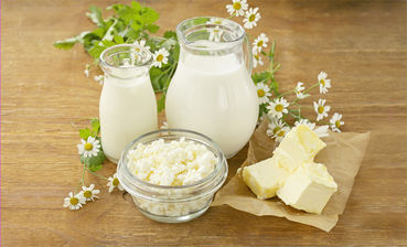 Milchprodukte © Olga Kriger – stock.adobe.com Milchprodukte © Olga Kriger – stock.adobe.com