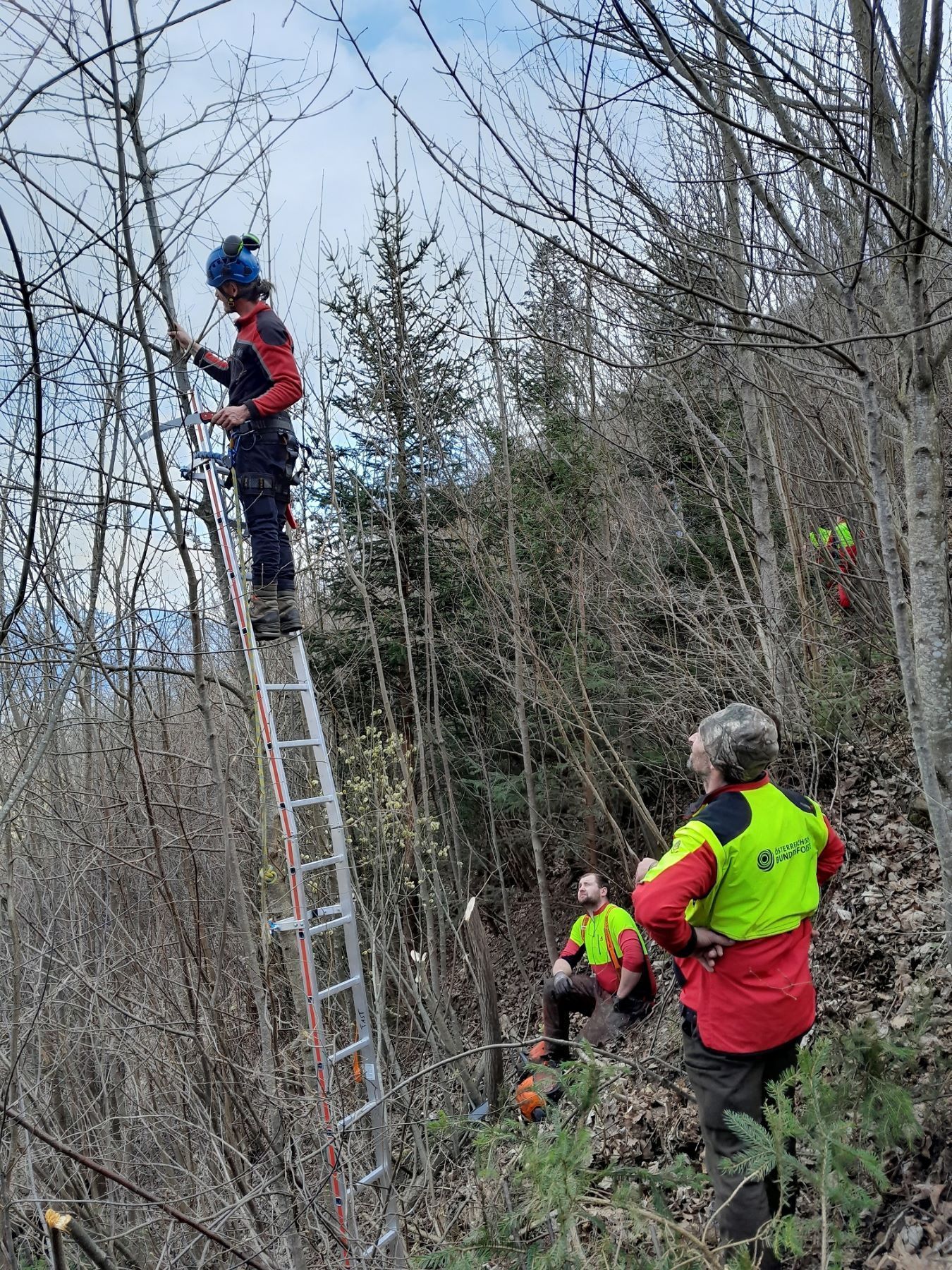 Seminar Laubholz - praktische Anwendung.jpg © ÖBF Seminar Laubholz - praktische Anwendung.jpg © ÖBF