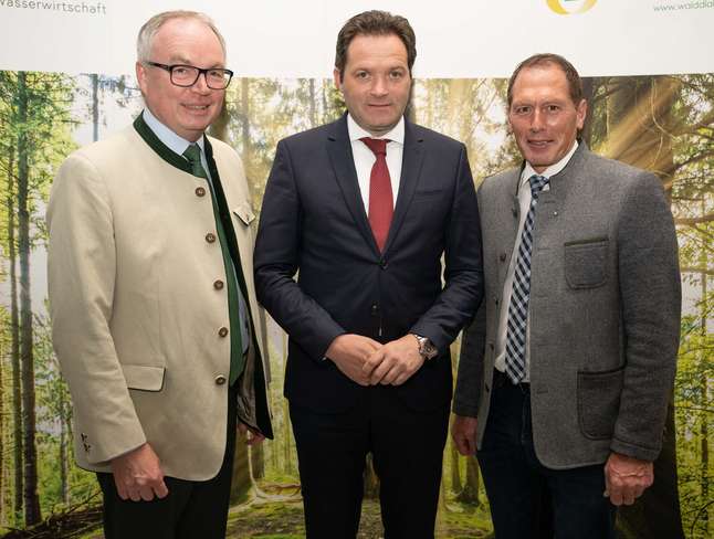Waldgipfel.jpg Waldgipfel.jpg