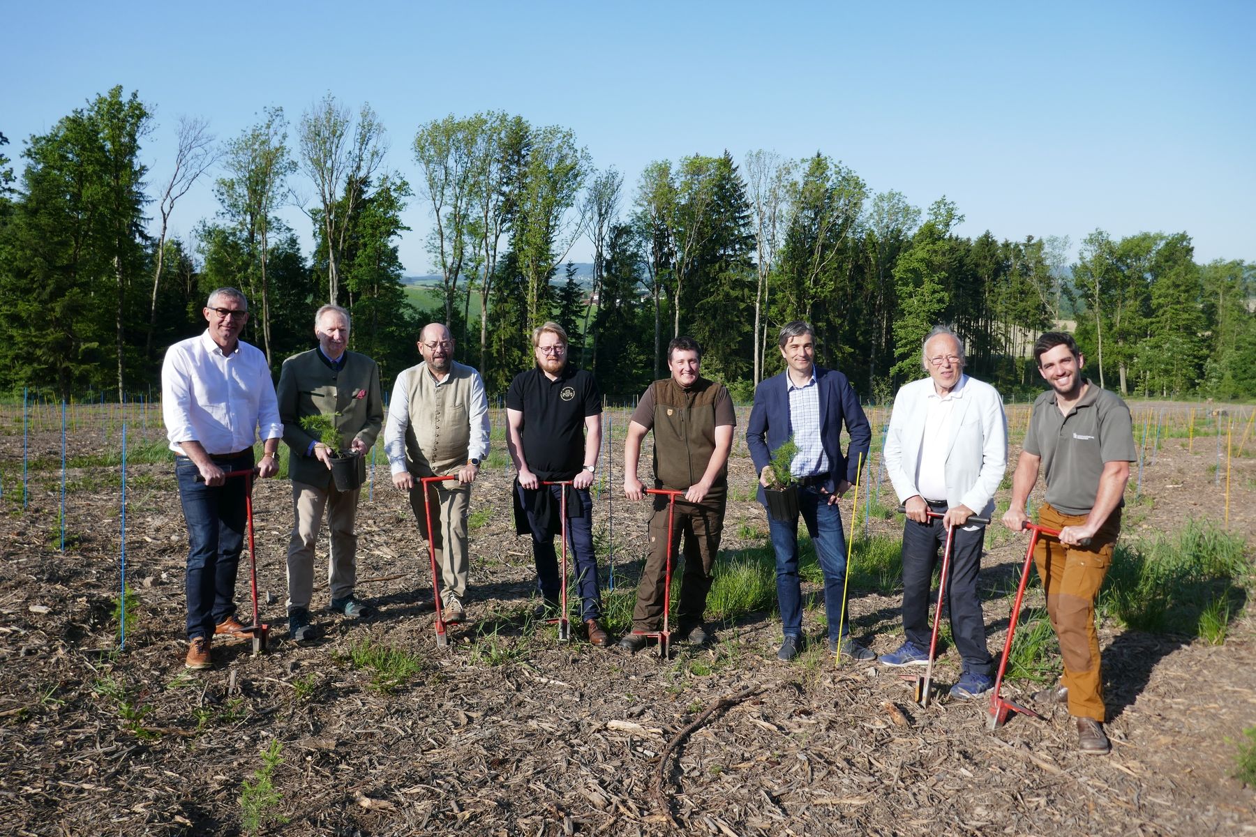 PA Zedernprojekt1_LK OÖ.jpg © LK OÖ PA Zedernprojekt1_LK OÖ.jpg © LK OÖ