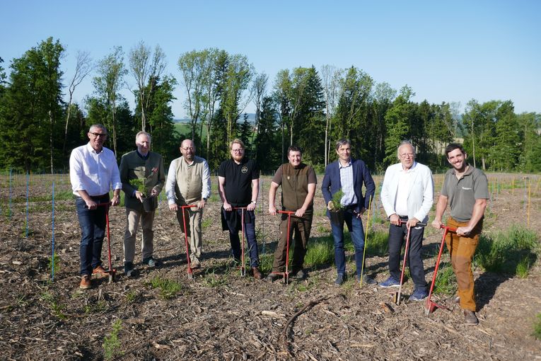 PA Zedernprojekt1_LK OÖ.jpg © LK OÖ PA Zedernprojekt1_LK OÖ.jpg © LK OÖ