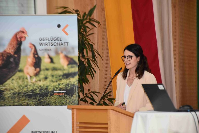 © LK Kärnten © LK Kärnten