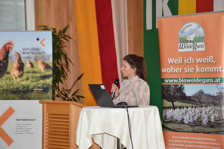 © LK Kärnten © LK Kärnten