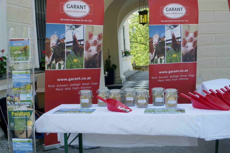 © LK Kärnten © LK Kärnten