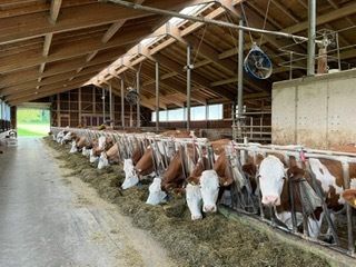 Woche der Landwirtschaft 2023 © LK Kärnten