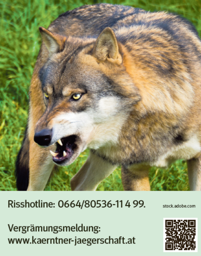 Vergrämungsmeldung.png © stock.adobe.com