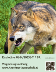 Die Risshotline ist immer erreichbar © stock.adobe.com Die Risshotline ist immer erreichbar © stock.adobe.com