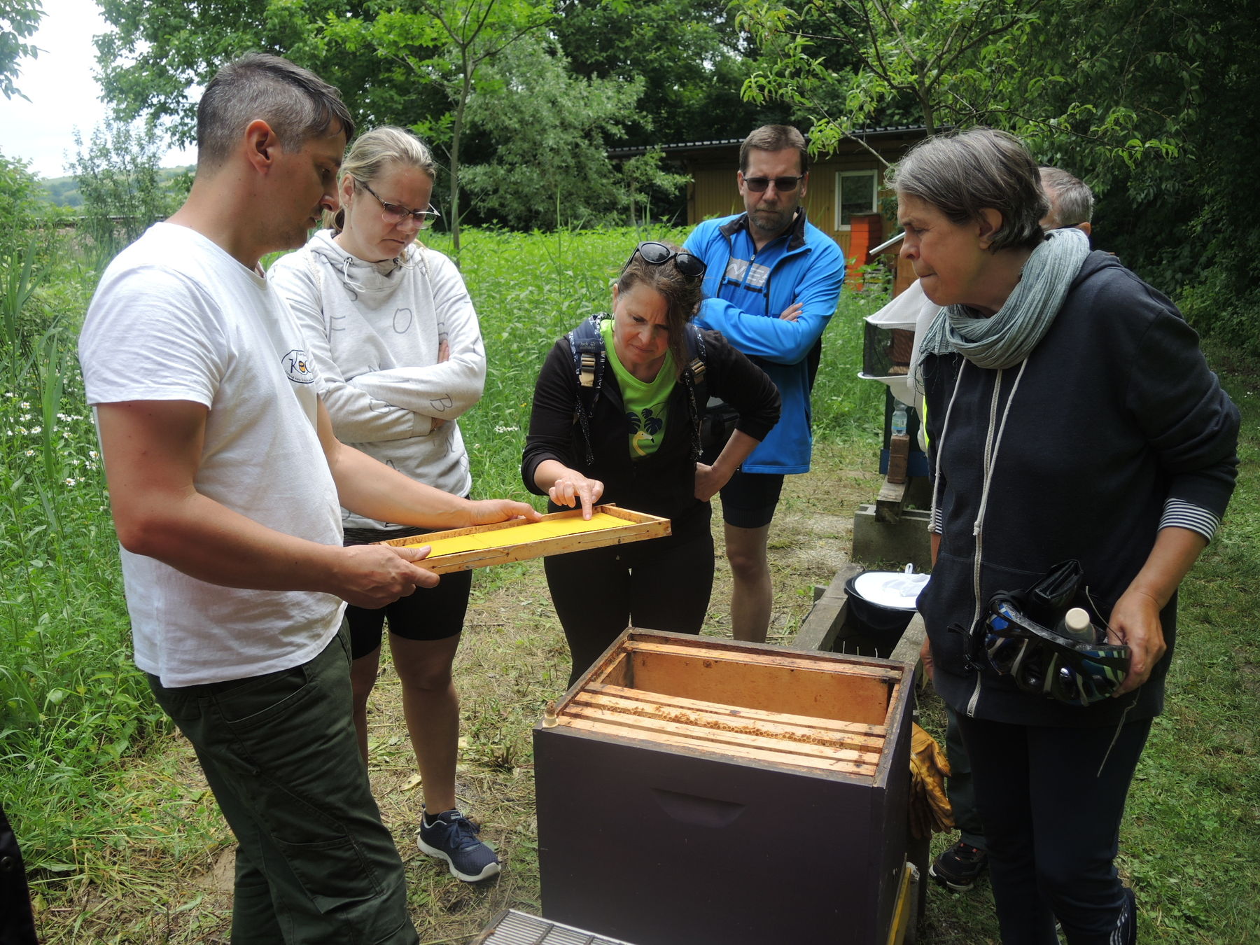 © Andrea Uhl LK NÖ © Andrea Uhl LK NÖ