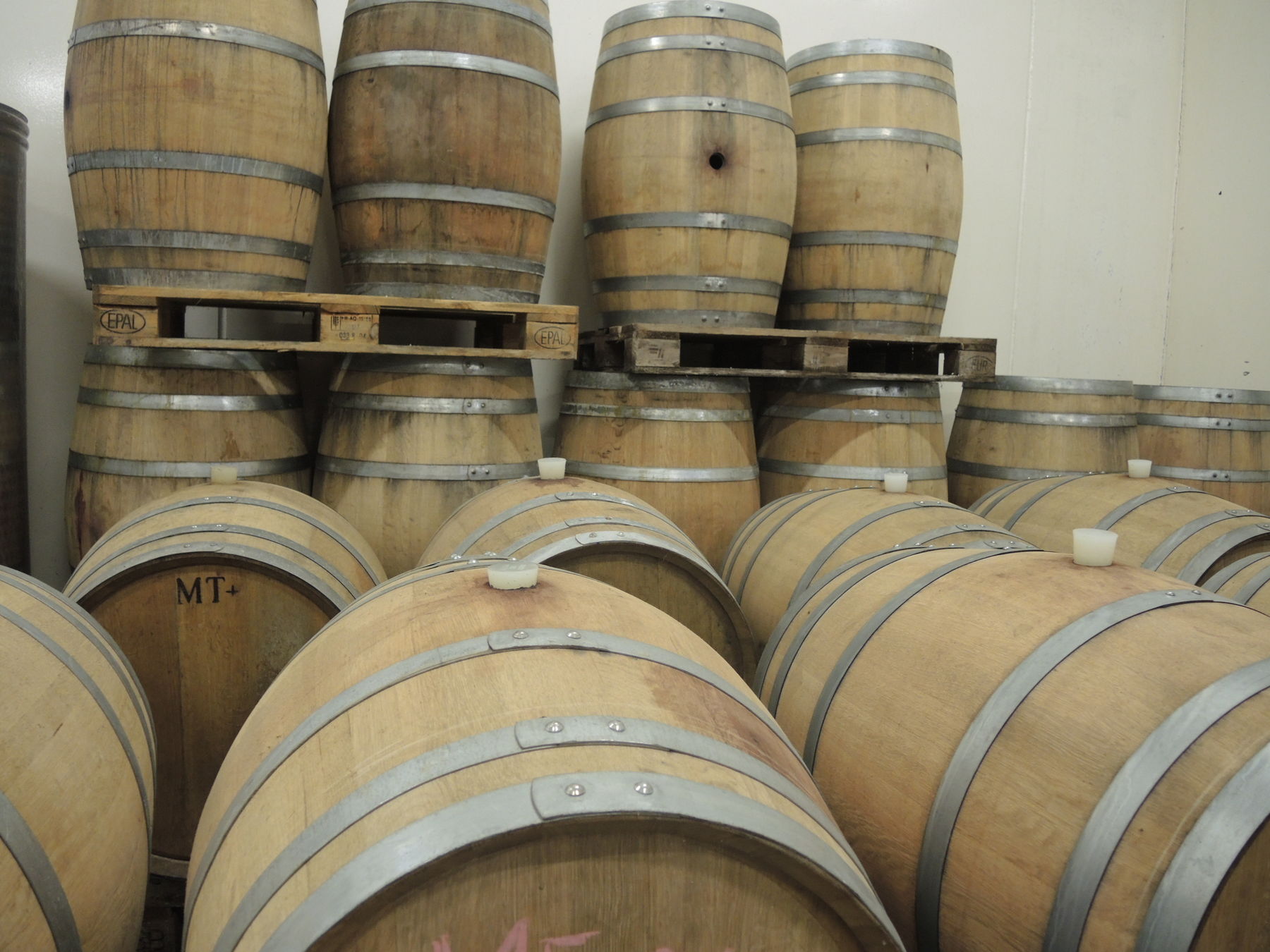 © Andrea Uhl LK NÖ © Andrea Uhl LK NÖ