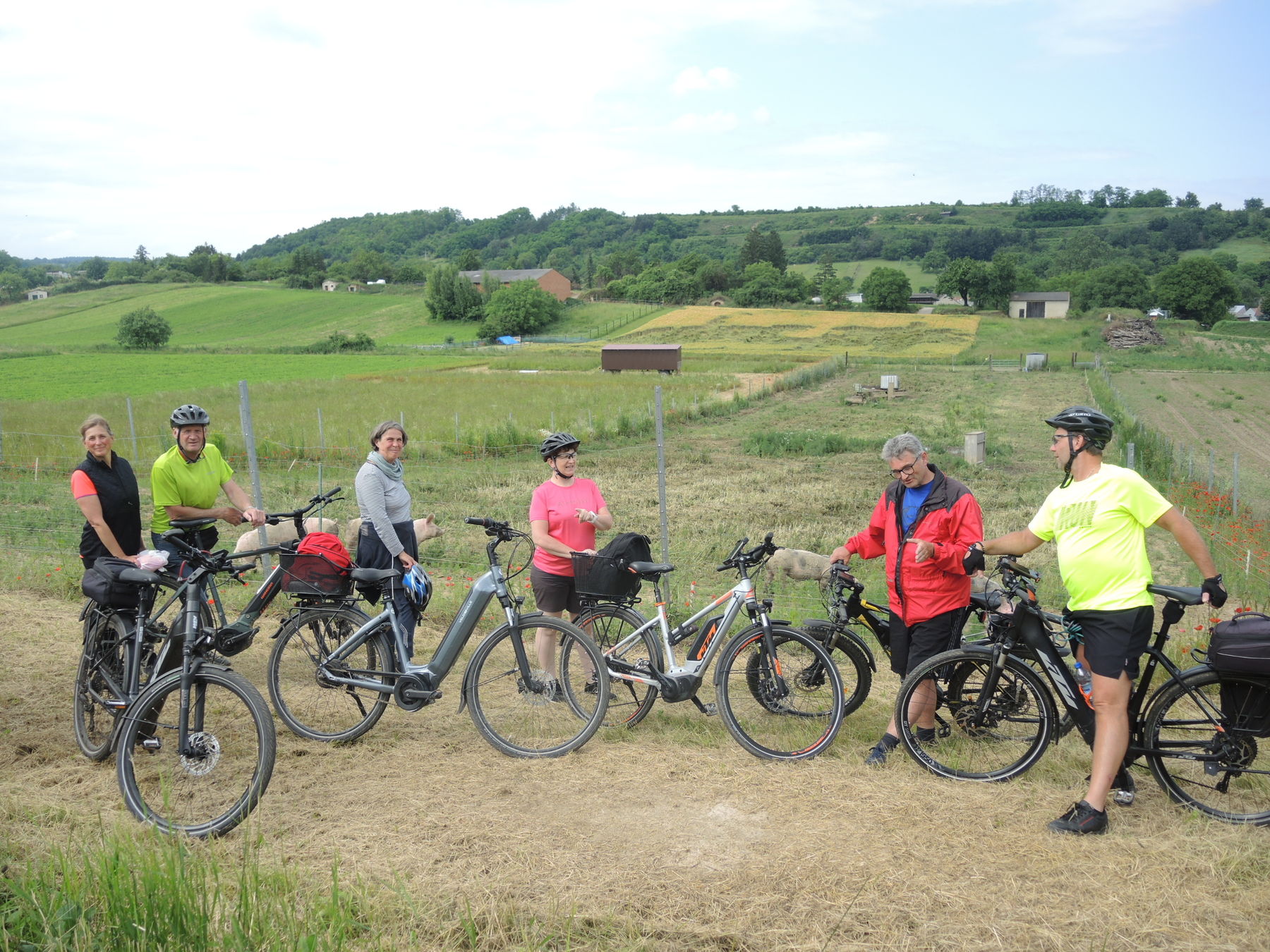 © Andrea Uhl LK NÖ © Andrea Uhl LK NÖ