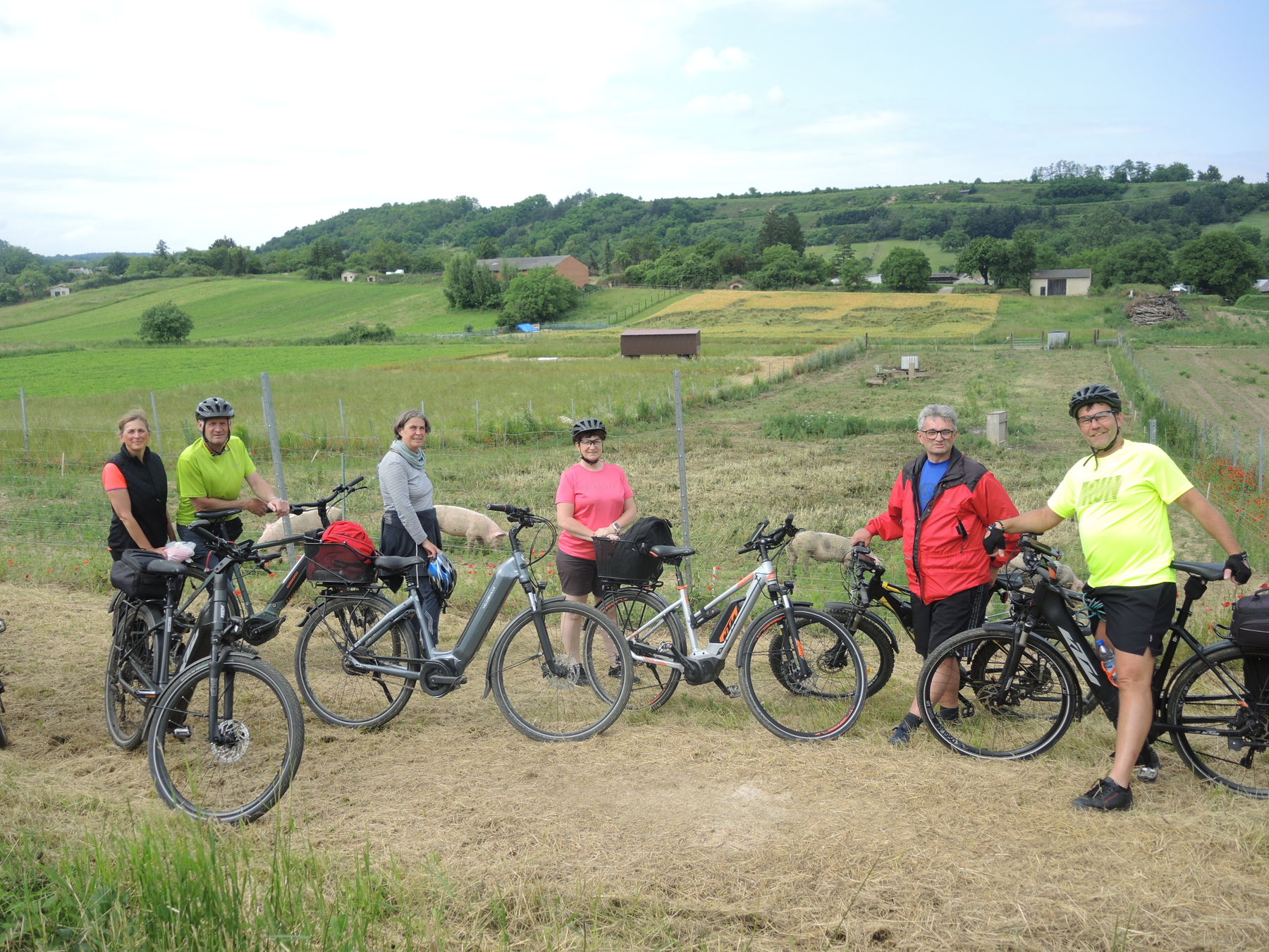 © Andrea Uhl LK NÖ © Andrea Uhl LK NÖ