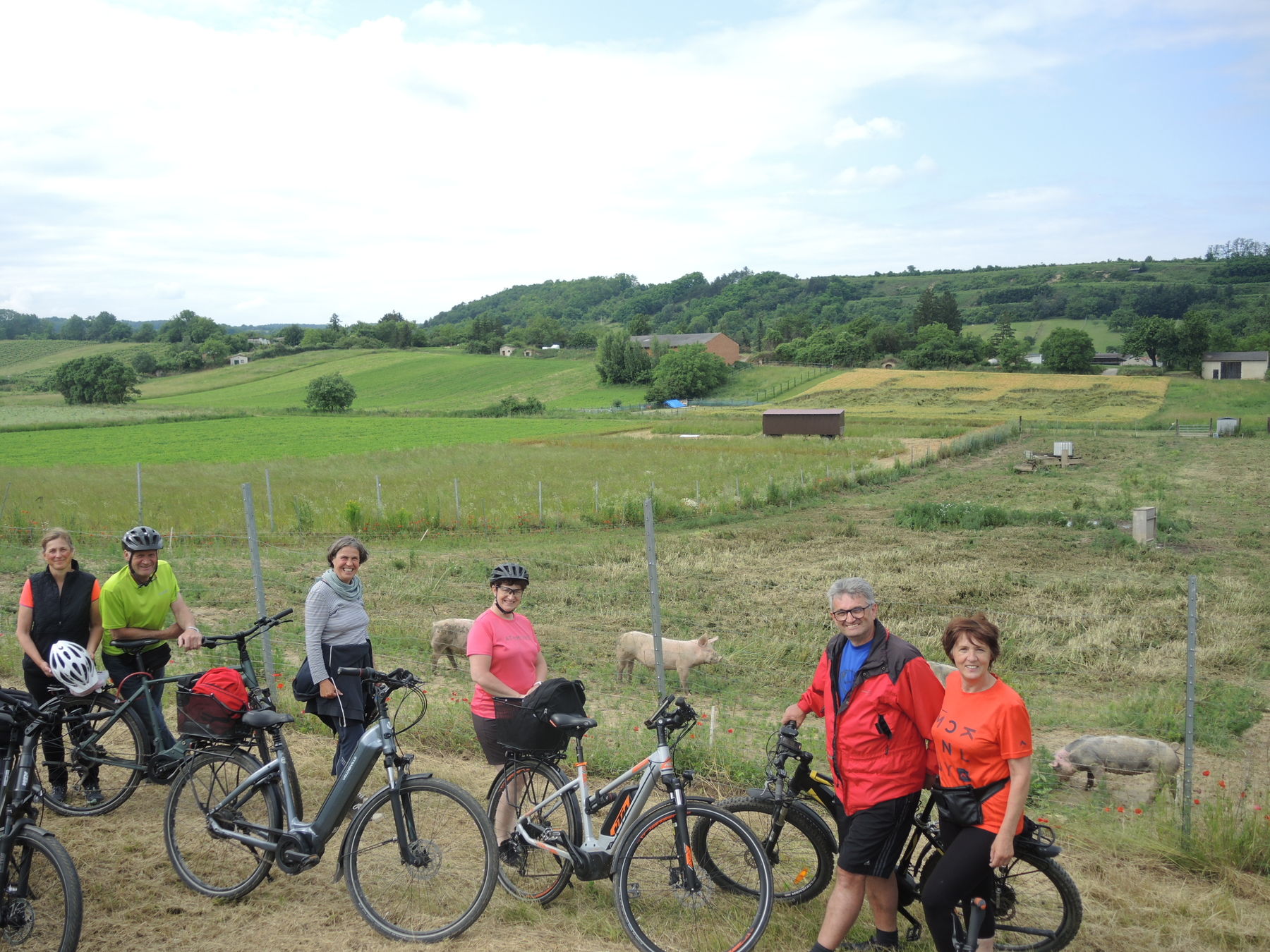 © Andrea Uhl LK NÖ © Andrea Uhl LK NÖ