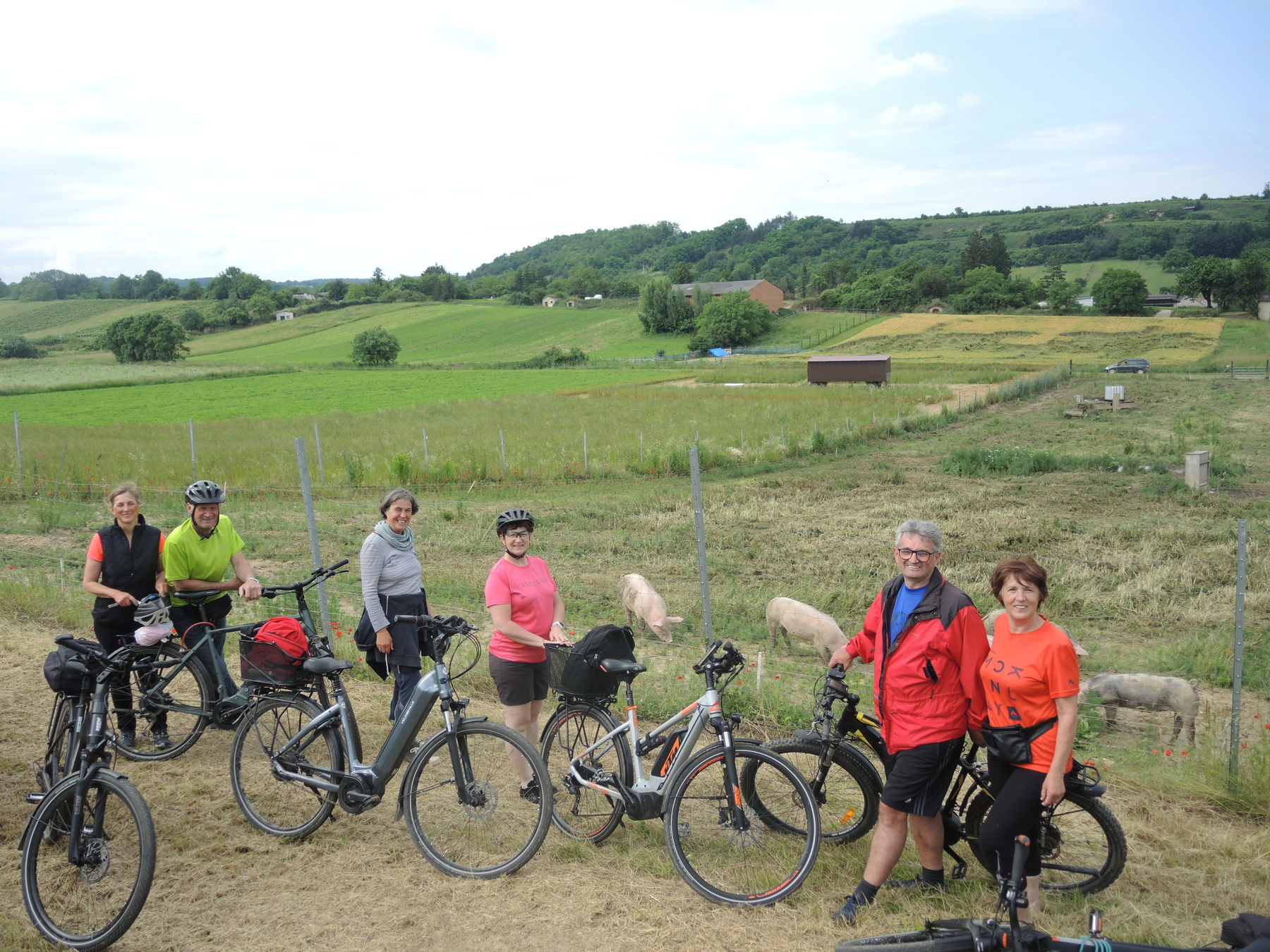 © Andrea Uhl LK NÖ © Andrea Uhl LK NÖ