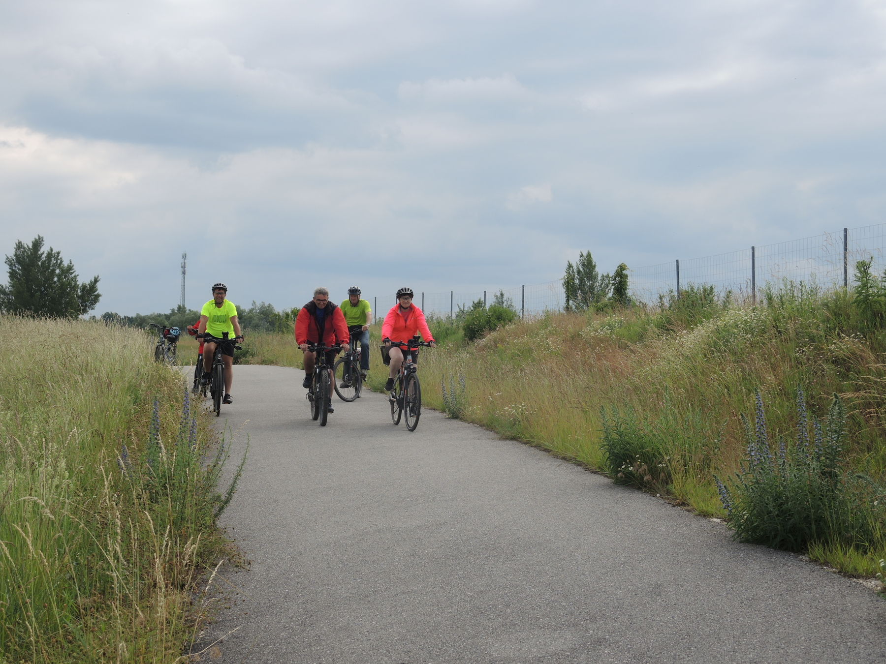 © Andrea Uhl LK NÖ © Andrea Uhl LK NÖ