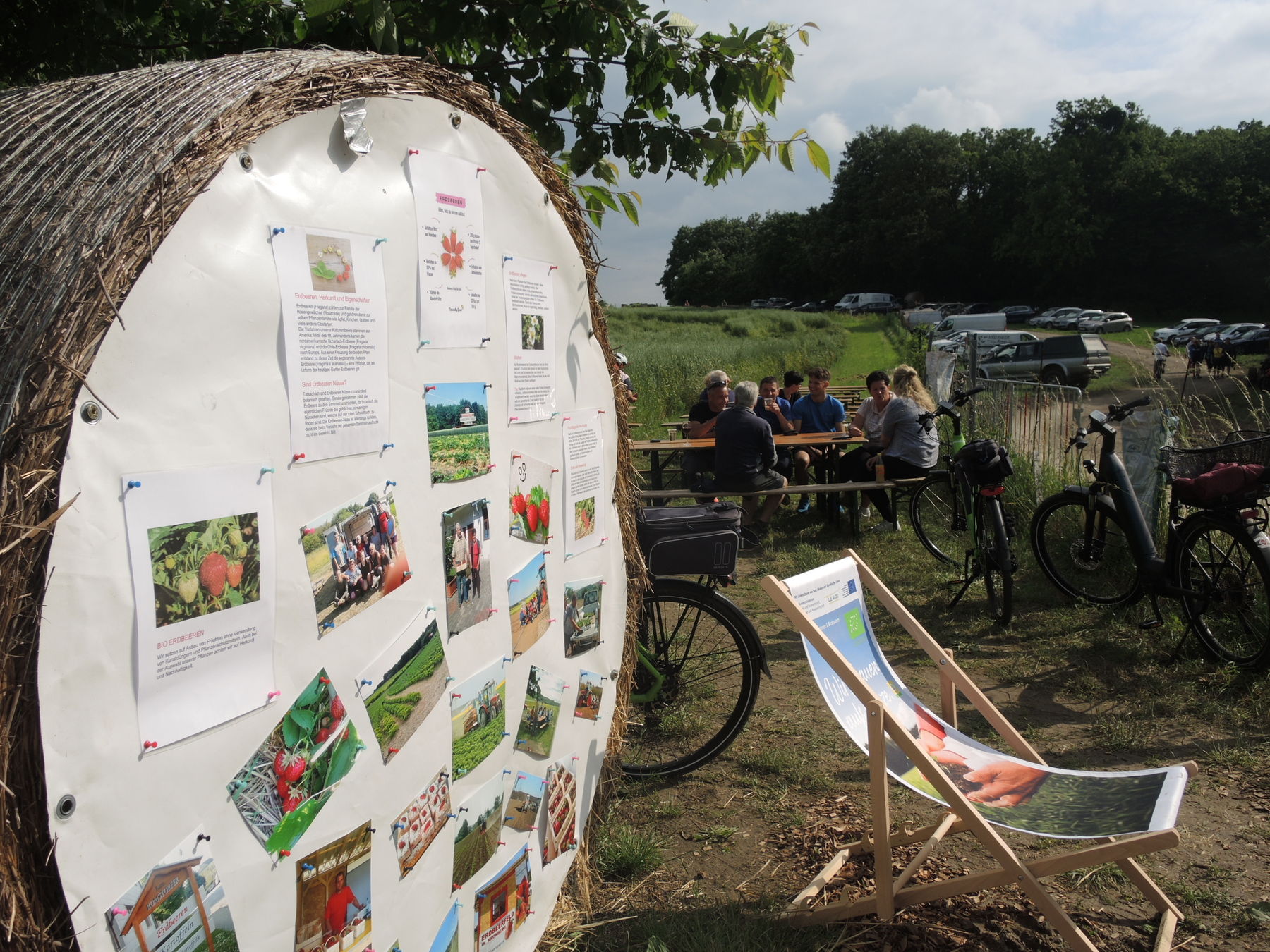 © Andrea Uhl LK NÖ © Andrea Uhl LK NÖ