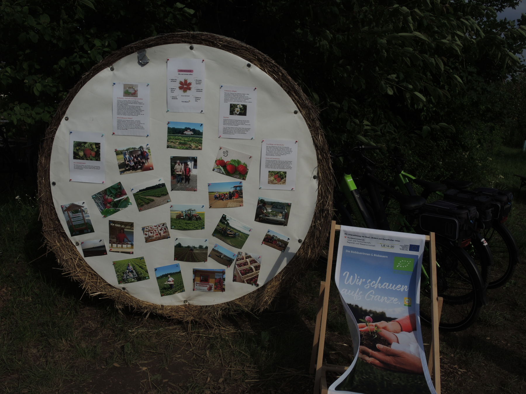 © Andrea Uhl LK NÖ © Andrea Uhl LK NÖ