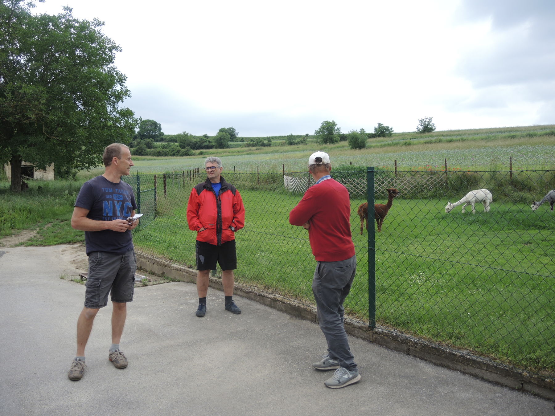 © Andrea Uhl LK NÖ © Andrea Uhl LK NÖ