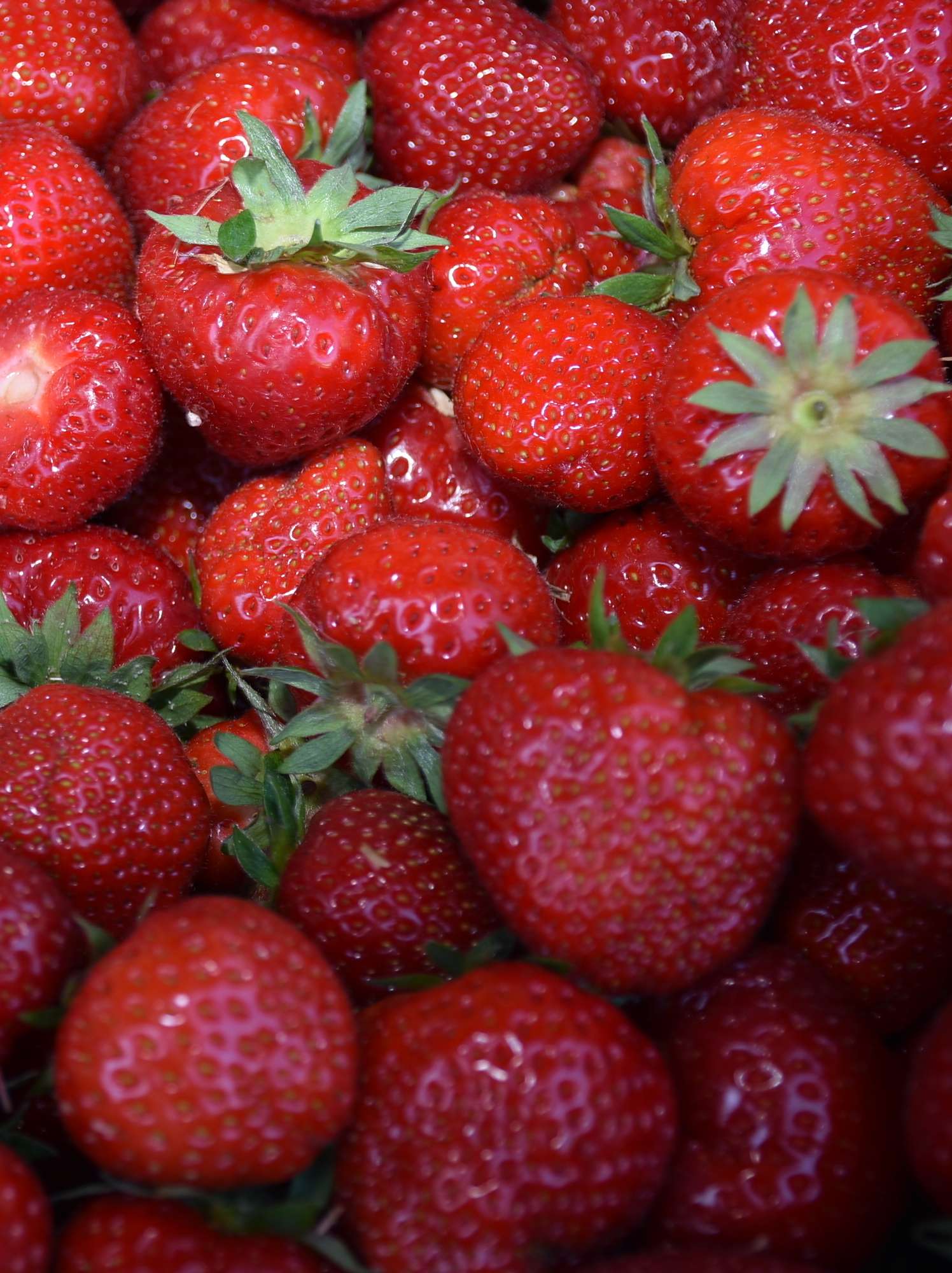 Erdbeeren.jpg © Tesch-Wessely/LK Burgenland Erdbeeren.jpg © Tesch-Wessely/LK Burgenland