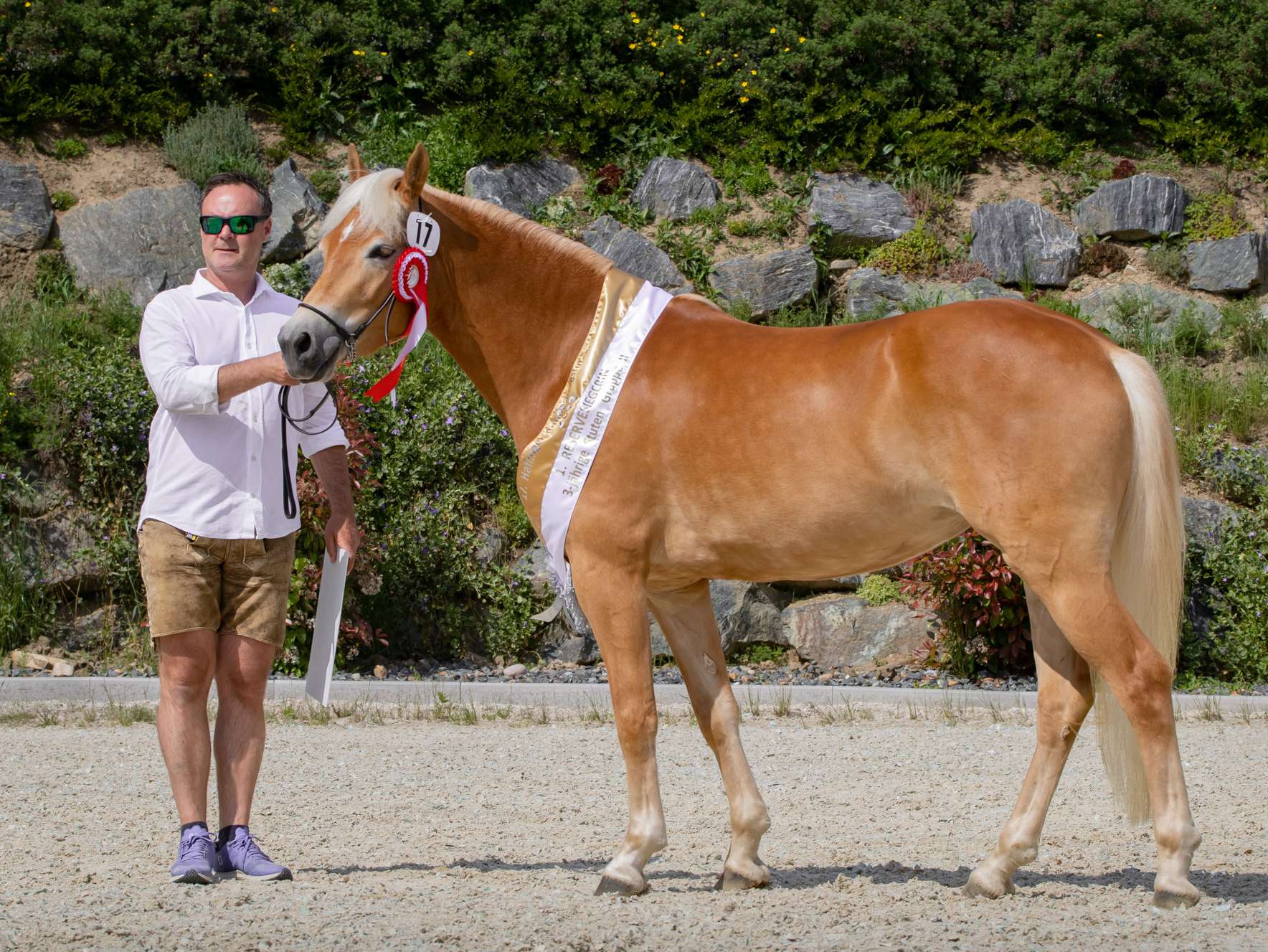 Sieben Gruppenschärpen für Salzburgs Haflinger.jpg © Stückler Sieben Gruppenschärpen für Salzburgs Haflinger.jpg © Stückler