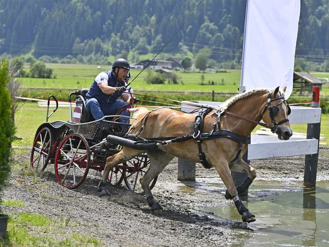 Turnier verbindet Reiter und Fahrer mit ihren Pferden.jpg