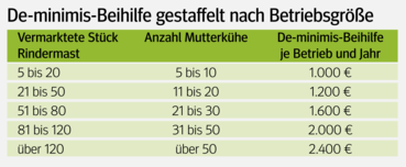 Qplus Rind: Einstieg und Änderungen  jederzeit möglich.png © Salzburger Bauer