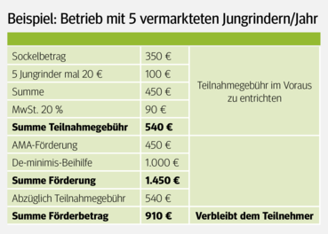 Qplus Rind: Einstieg und Änderungen  jederzeit möglich.png © Salzburger Bauer