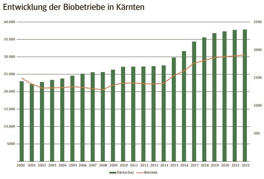 Entwicklung der Biobetriebe in Kärnten.jpg