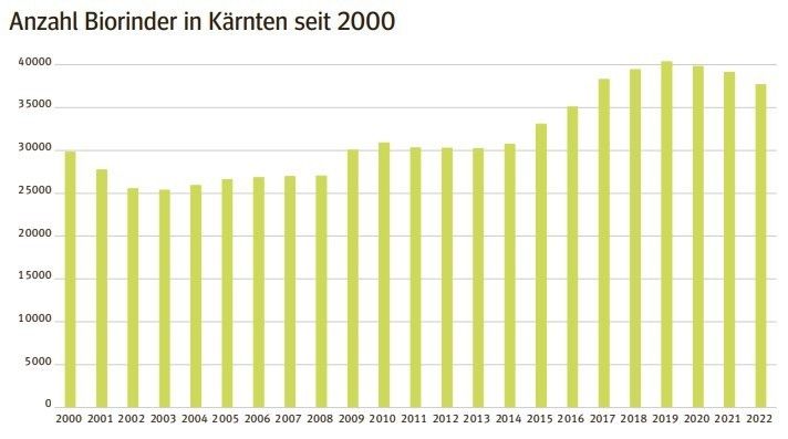Anzahl Biorinder in Kärnten seit 2000.jpg © Archiv Anzahl Biorinder in Kärnten seit 2000.jpg © Archiv