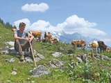 Reicheralm.jpg © Mooslechner