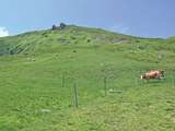 Reicheralm.jpg © Mooslechner