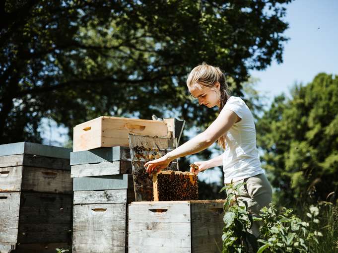 sb25_mb_elli.jpg © Bienenlieb sb25_mb_elli.jpg © Bienenlieb