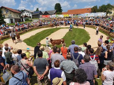 Bezirksrinderschau Ottenschlag 2023 1.jpg