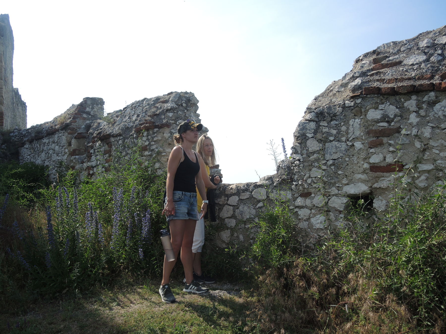 © Andrea Uhl LK NÖ © Andrea Uhl LK NÖ