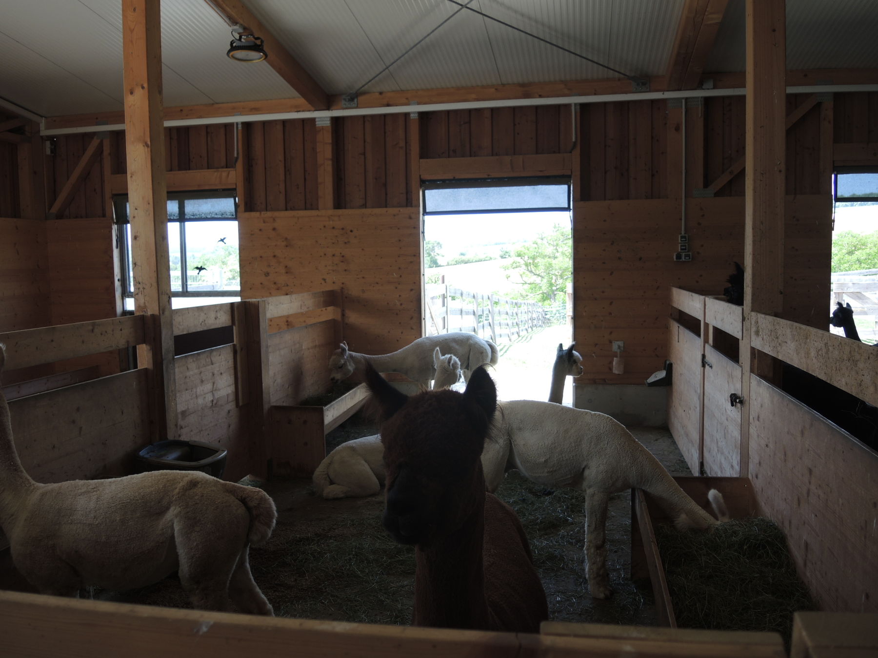 © Andrea Uhl LK NÖ © Andrea Uhl LK NÖ