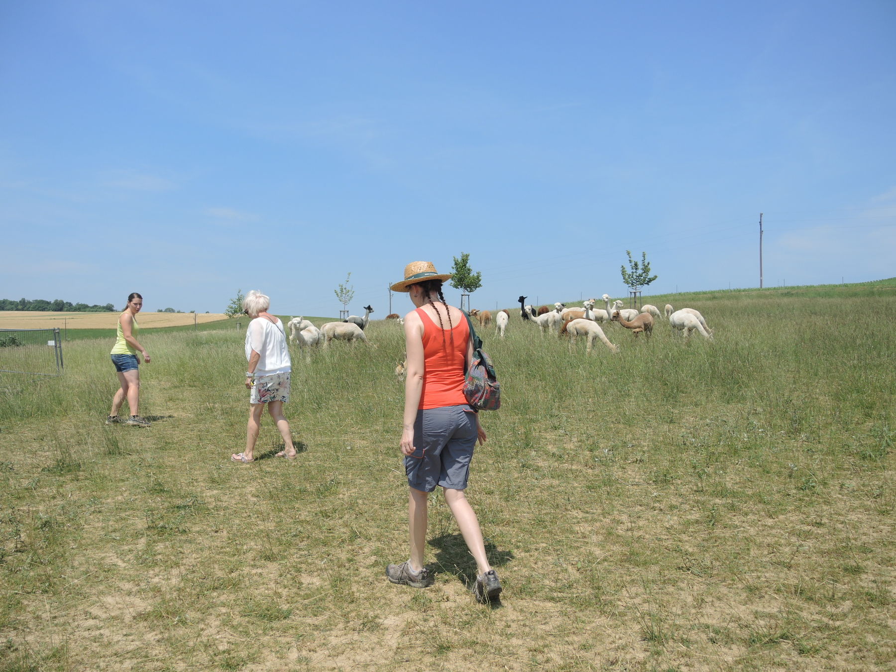 © Andrea Uhl LK NÖ © Andrea Uhl LK NÖ